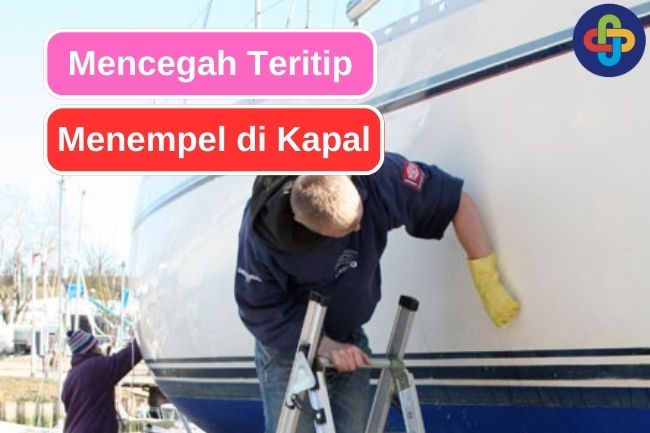 5 Cara Mencegah Teritip Menempel pada Kapal